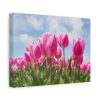 Tulip Beauty Standard Canvas
