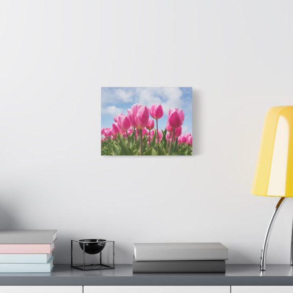 Tulip Beauty Standard Canvas