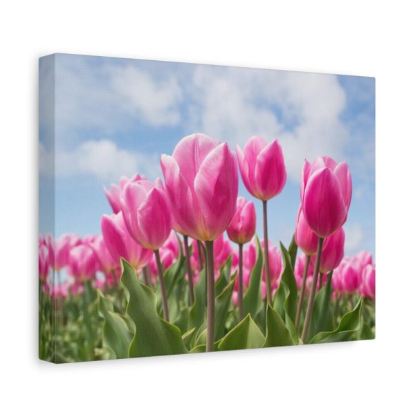 Tulip Beauty Standard Canvas