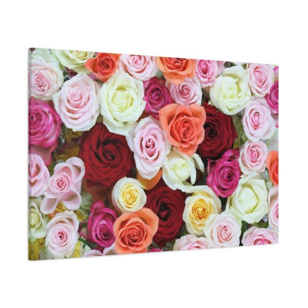 91638-100.jpg Colorful Roses Standard Canvas