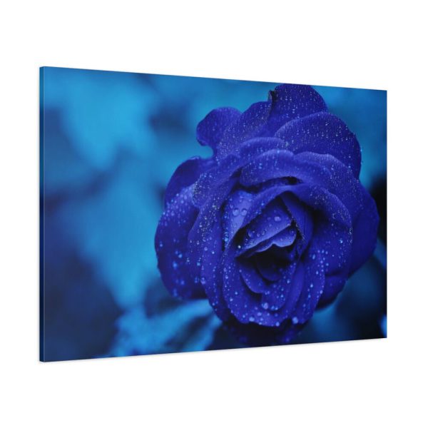91638-104.jpg Blue Roses Standard Canvas