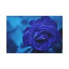 91638-105.jpg Blue Roses Standard Canvas