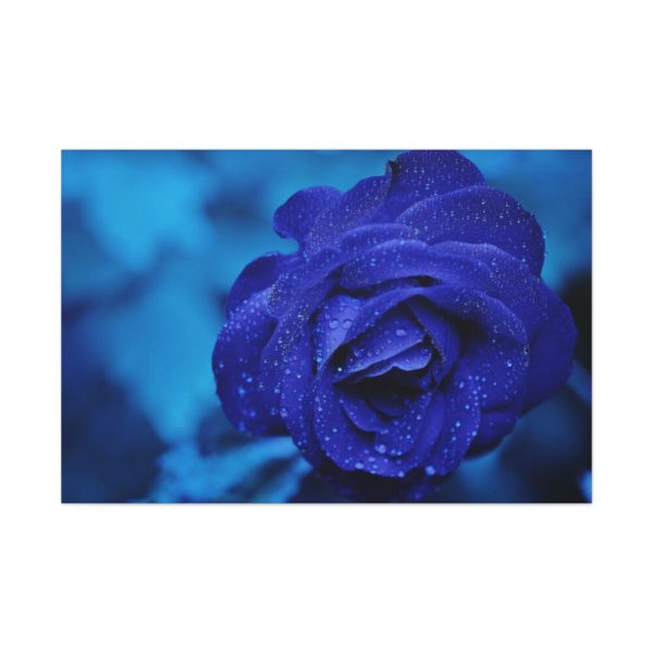 91638-105.jpg Blue Roses Standard Canvas