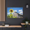 91638-111.jpg Sunflower and Farm Barn Standard Canvas