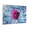91638-112.jpg Garden Roses Standard Canvas