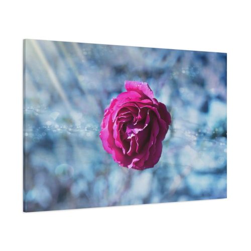 Garden Roses Standard Canvas