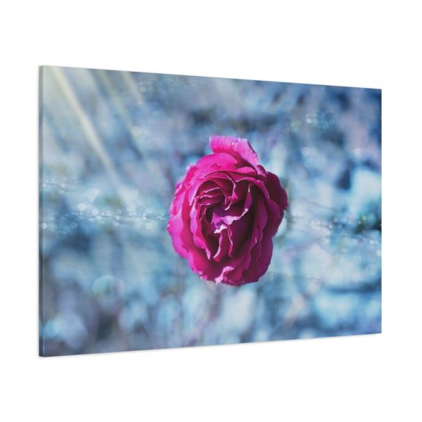 91638-112.jpg Garden Roses Standard Canvas