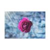 91638-113.jpg Garden Roses Standard Canvas