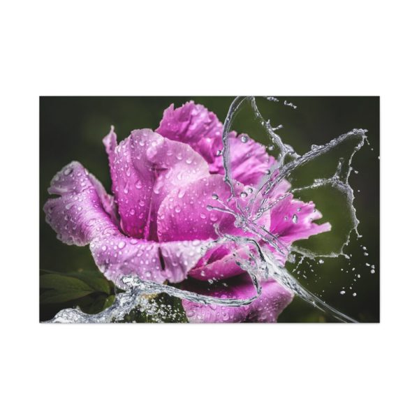 91638-117.jpg Rose Family Standard Canvas