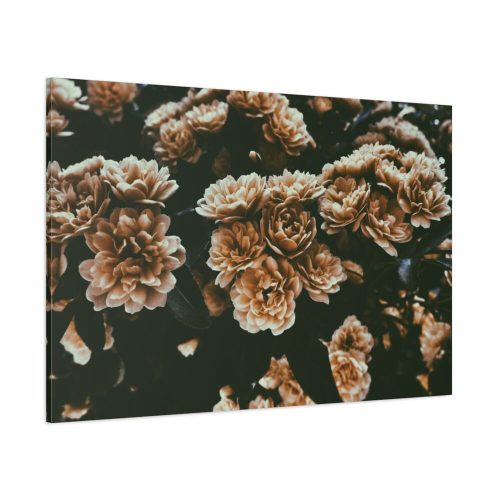 91638-124.jpg Brown Aesthetic Standard Canvas