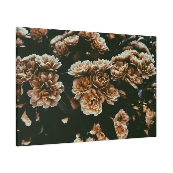 91638-124.jpg Brown Aesthetic Standard Canvas