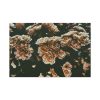91638-125.jpg Brown Aesthetic Standard Canvas