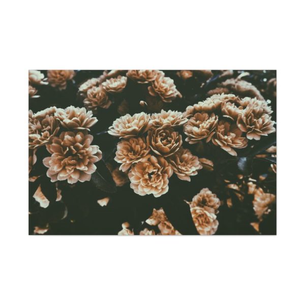 91638-125.jpg Brown Aesthetic Standard Canvas