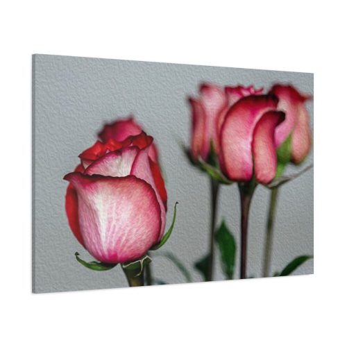 Red Oil Rose Standard Canvas