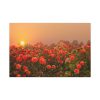 91638-141.jpg Barn in Smokey Orange Sky Standard Canvas