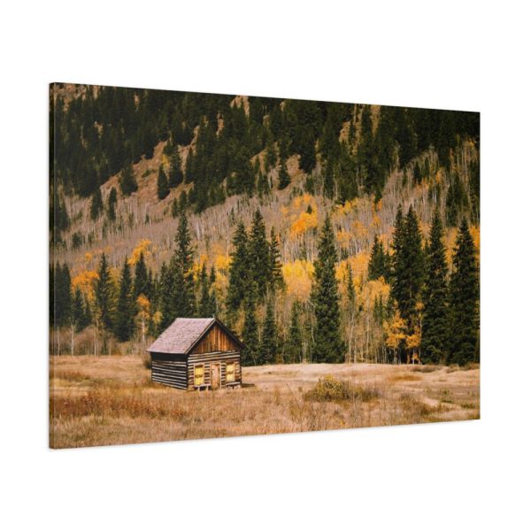 91638-148.jpg Woden Barn in Forest Standard Canvas