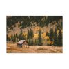 91638-149.jpg Woden Barn in Forest Standard Canvas