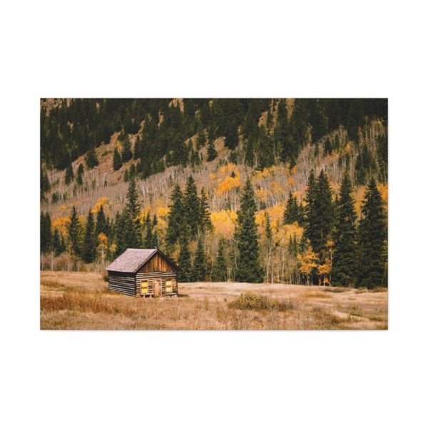 91638-149.jpg Woden Barn in Forest Standard Canvas