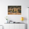 91638-150.jpg Woden Barn in Forest Standard Canvas