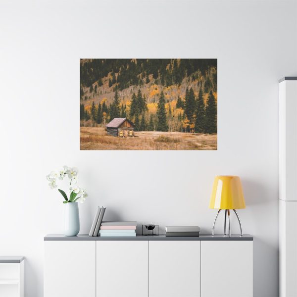 91638-150.jpg Woden Barn in Forest Standard Canvas