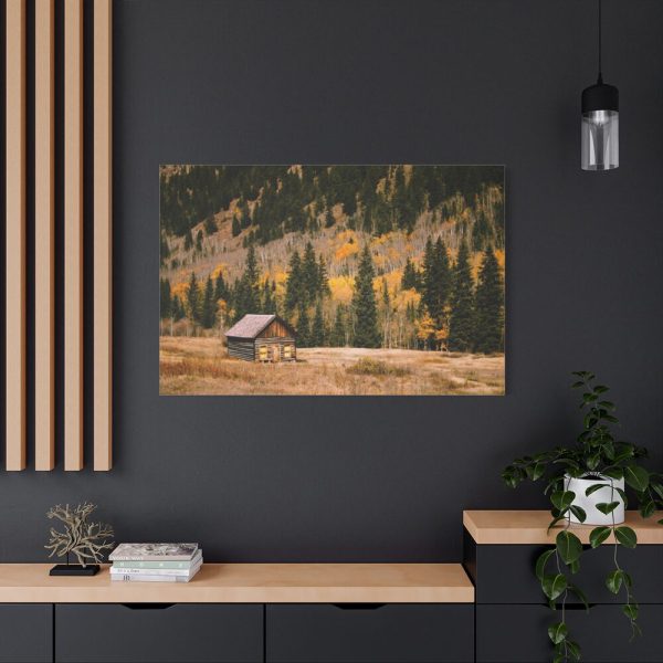 91638-151.jpg Woden Barn in Forest Standard Canvas