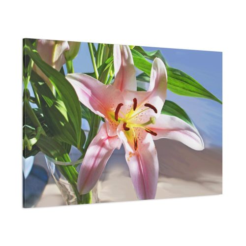 91638-160.jpg Pink Lily Standard Canvas