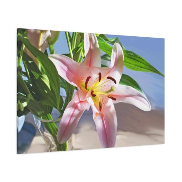 91638-160.jpg Pink Lily Standard Canvas