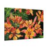 Orange Lily Standard Canvas