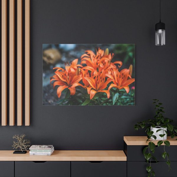 Orange Flower Standard Canvas