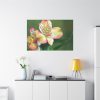 Lily of the Incas Standard Canvas