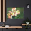Lily of the Incas Standard Canvas