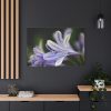 Purple White Glowing Lily Standard Canvas