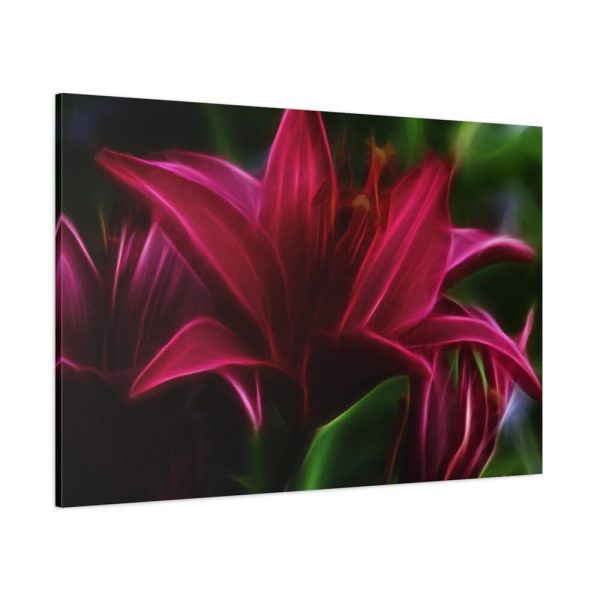 Pink Bloom Lily Standard Canvas