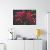Pink Bloom Lily Standard Canvas