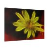 Yellow Flower Standard Canvas