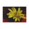 Yellow Flower Standard Canvas
