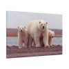 91638-192.jpg Polar Mama Bear and Cubs Standard Canvas