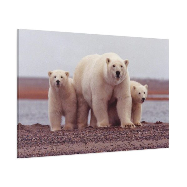 91638-192.jpg Polar Mama Bear and Cubs Standard Canvas