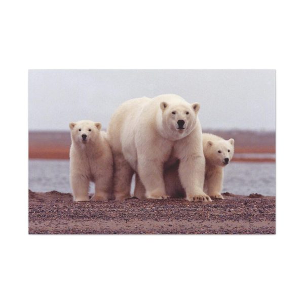 91638-193.jpg Polar Mama Bear and Cubs Standard Canvas