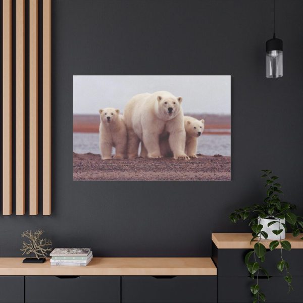 91638-195.jpg Polar Mama Bear and Cubs Standard Canvas