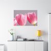 Pink Tulip Standard Canvas