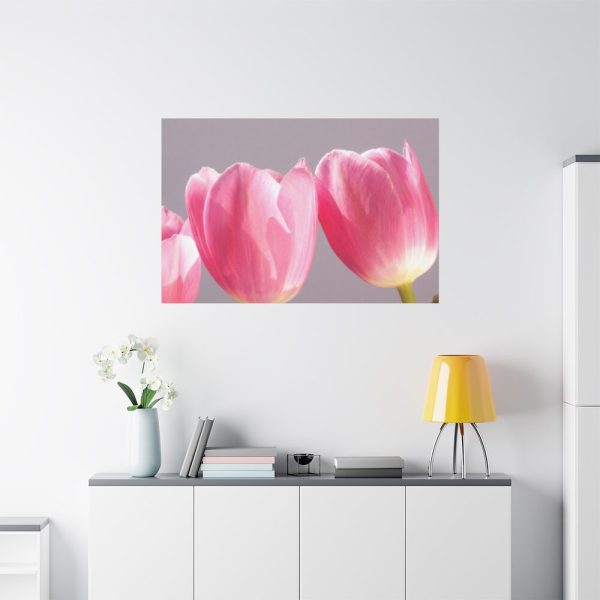 Pink Tulip Standard Canvas