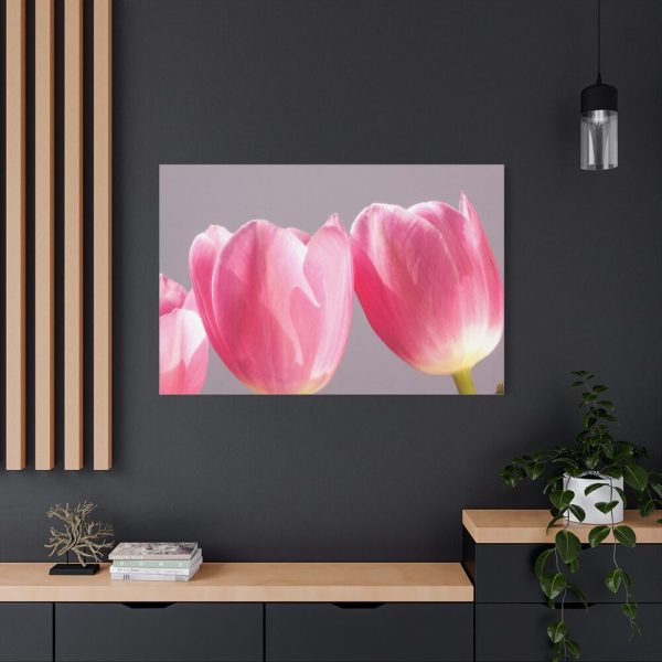 Pink Tulip Standard Canvas