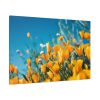 Orange Petaled Flowers  Standard Canvas