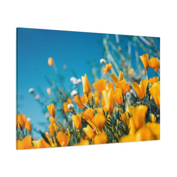 Orange Petaled Flowers  Standard Canvas