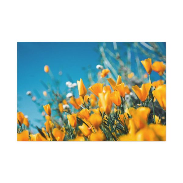 Orange Petaled Flowers  Standard Canvas