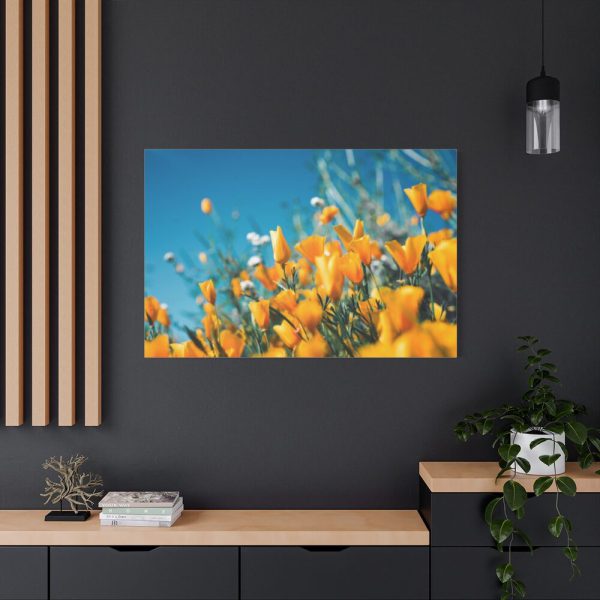 Orange Petaled Flowers  Standard Canvas