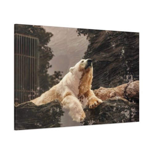 91638-212.jpg Polar Bear in Zoo Standard Canvas