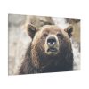91638-216.jpg Head of Grizzly Bear Standard Canvas