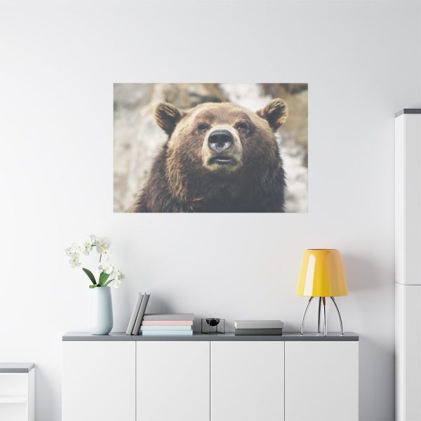 91638-218.jpg Head of Grizzly Bear Standard Canvas